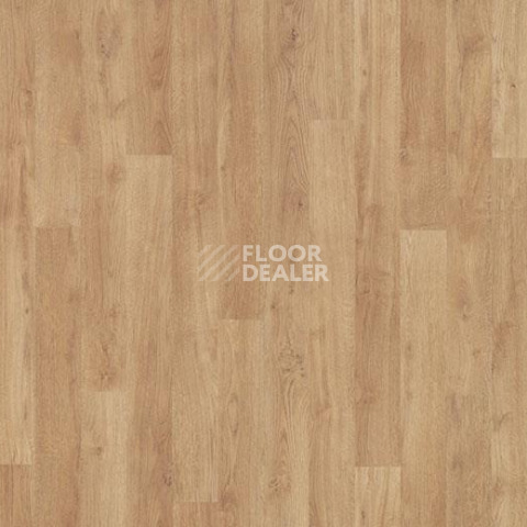 Линолеум Forbo Eternal Wood 11912 whitewashed oak фото 1 | FLOORDEALER